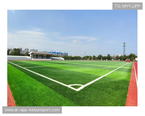 联盟与城市共同推动校园足球场地建设项目落地，校园足球场地建设标准